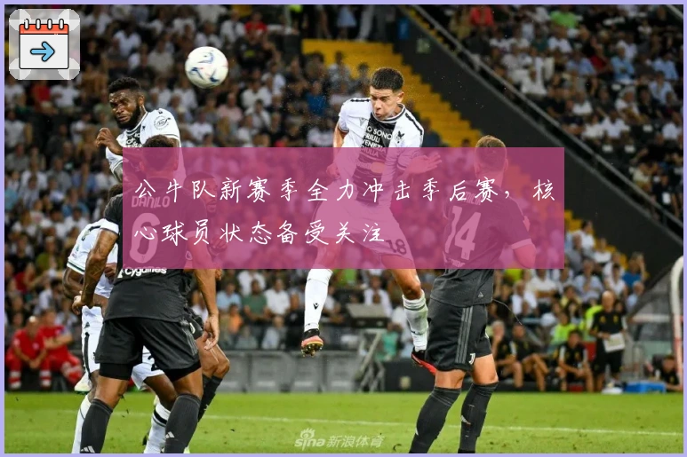 公牛队新赛季全力冲击季后赛，核心球员状态备受关注