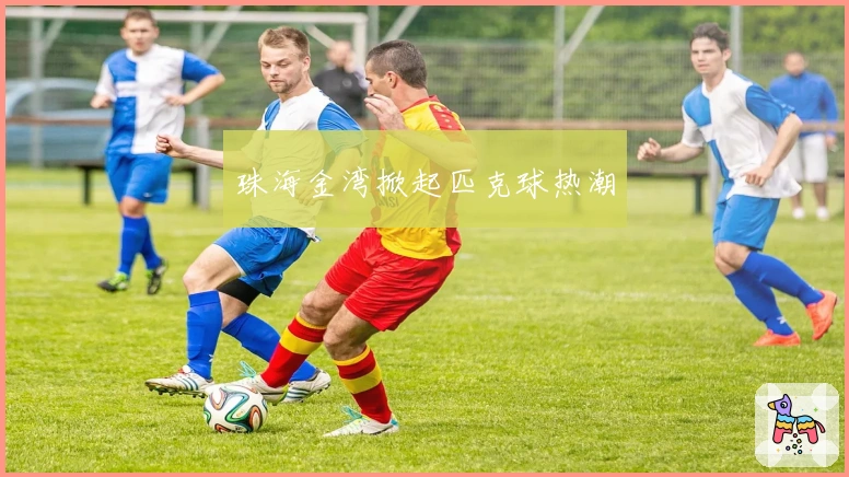 珠海金湾掀起匹克球热潮