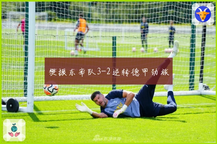 樊振东率队3-2逆转德甲劲旅