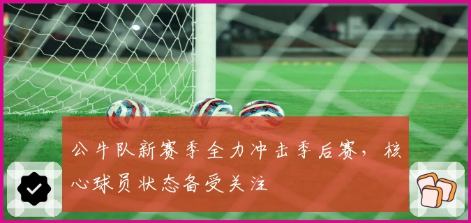 公牛队新赛季全力冲击季后赛，核心球员状态备受关注